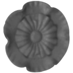 Zierrosette