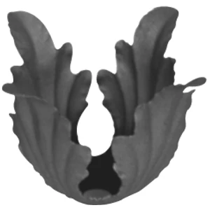 Zierrosette
